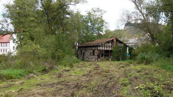 Zustand der Insel im Oktober 2004 (Bildarchiv Hutzelmann)